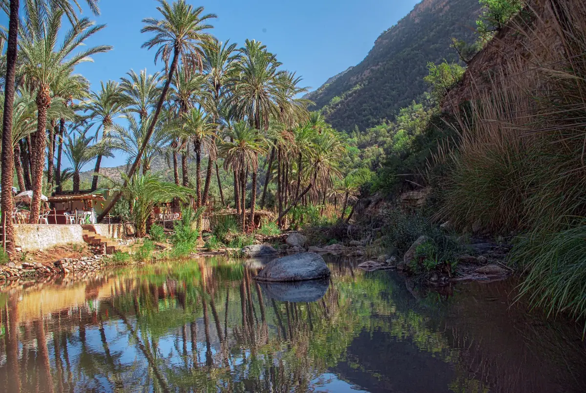 Palms and pools in Paradise Valley