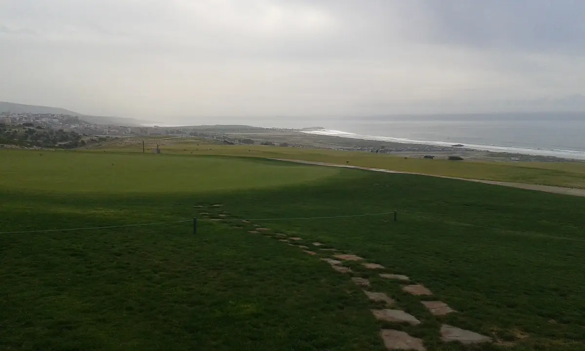Grassland and coast at Taghazout Bay